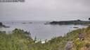 ./images/calvert/foggy-cove/20260805/foggy-cove20260805_090002M.jpg