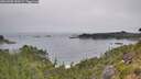 ./images/calvert/foggy-cove/20260805/foggy-cove20260805_090501M.jpg