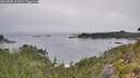./images/calvert/foggy-cove/20260805/foggy-cove20260805_091002M.jpg