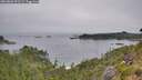 ./images/calvert/foggy-cove/20260805/foggy-cove20260805_091501M.jpg