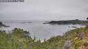 ./images/calvert/foggy-cove/20260805/foggy-cove20260805_093001M.jpg