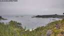 ./images/calvert/foggy-cove/20260805/foggy-cove20260805_094001M.jpg