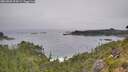 ./images/calvert/foggy-cove/20260805/foggy-cove20260805_094501M.jpg