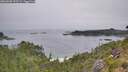 ./images/calvert/foggy-cove/20260805/foggy-cove20260805_095502M.jpg