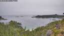 ./images/calvert/foggy-cove/20260805/foggy-cove20260805_100001M.jpg