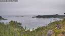./images/calvert/foggy-cove/20260805/foggy-cove20260805_100501M.jpg