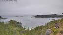 ./images/calvert/foggy-cove/20260805/foggy-cove20260805_101001M.jpg