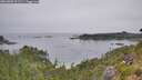 ./images/calvert/foggy-cove/20260805/foggy-cove20260805_101501M.jpg