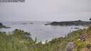 ./images/calvert/foggy-cove/20260805/foggy-cove20260805_102001M.jpg