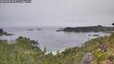 ./images/calvert/foggy-cove/20260805/foggy-cove20260805_102501M.jpg