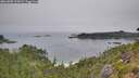 ./images/calvert/foggy-cove/20260805/foggy-cove20260805_103001M.jpg