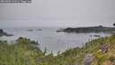 ./images/calvert/foggy-cove/20260805/foggy-cove20260805_103501M.jpg