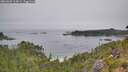 ./images/calvert/foggy-cove/20260805/foggy-cove20260805_104001M.jpg
