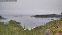 ./images/calvert/foggy-cove/20260805/foggy-cove20260805_104501M.jpg