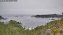 ./images/calvert/foggy-cove/20260805/foggy-cove20260805_105001M.jpg
