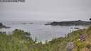 ./images/calvert/foggy-cove/20260805/foggy-cove20260805_105501M.jpg