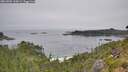 ./images/calvert/foggy-cove/20260805/foggy-cove20260805_110001M.jpg