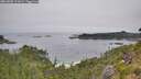 ./images/calvert/foggy-cove/20260805/foggy-cove20260805_111001M.jpg