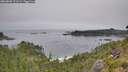 ./images/calvert/foggy-cove/20260805/foggy-cove20260805_111501M.jpg