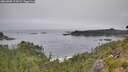 ./images/calvert/foggy-cove/20260805/foggy-cove20260805_112001M.jpg