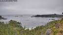 ./images/calvert/foggy-cove/20260805/foggy-cove20260805_112501M.jpg