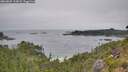 ./images/calvert/foggy-cove/20260805/foggy-cove20260805_113001M.jpg
