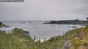 ./images/calvert/foggy-cove/20260805/foggy-cove20260805_113501M.jpg