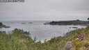 ./images/calvert/foggy-cove/20260805/foggy-cove20260805_114002M.jpg
