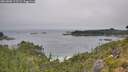 ./images/calvert/foggy-cove/20260805/foggy-cove20260805_115501M.jpg