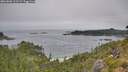 ./images/calvert/foggy-cove/20260805/foggy-cove20260805_121501M.jpg