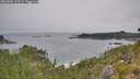 ./images/calvert/foggy-cove/20260805/foggy-cove20260805_123501M.jpg