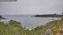 ./images/calvert/foggy-cove/20260805/foggy-cove20260805_134001M.jpg