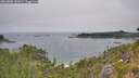 ./images/calvert/foggy-cove/20260805/foggy-cove20260805_141001M.jpg