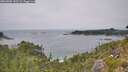 ./images/calvert/foggy-cove/20260805/foggy-cove20260805_143501M.jpg