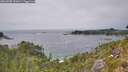 ./images/calvert/foggy-cove/20260805/foggy-cove20260805_151001M.jpg