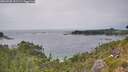 ./images/calvert/foggy-cove/20260805/foggy-cove20260805_151502M.jpg
