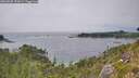 ./images/calvert/foggy-cove/20260805/foggy-cove20260805_152001M.jpg