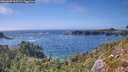 ./images/calvert/foggy-cove/20260805/foggy-cove20260805_162501M.jpg