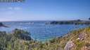 ./images/calvert/foggy-cove/20260805/foggy-cove20260805_163002M.jpg