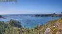 ./images/calvert/foggy-cove/20260805/foggy-cove20260805_163502M.jpg