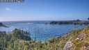./images/calvert/foggy-cove/20260805/foggy-cove20260805_164001M.jpg