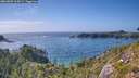 ./images/calvert/foggy-cove/20260805/foggy-cove20260805_164501M.jpg