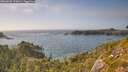 ./images/calvert/foggy-cove/20260805/foggy-cove20260805_172001M.jpg