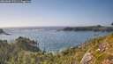 ./images/calvert/foggy-cove/20260805/foggy-cove20260805_172501M.jpg