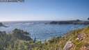 ./images/calvert/foggy-cove/20260805/foggy-cove20260805_173501M.jpg