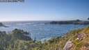 ./images/calvert/foggy-cove/20260805/foggy-cove20260805_174501M.jpg
