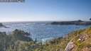 ./images/calvert/foggy-cove/20260805/foggy-cove20260805_180501M.jpg