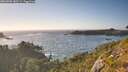 ./images/calvert/foggy-cove/20260805/foggy-cove20260805_185501M.jpg