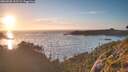 ./images/calvert/foggy-cove/20260805/foggy-cove20260805_203501M.jpg