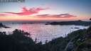 ./images/calvert/foggy-cove/20260805/foggy-cove20260805_213501M.jpg